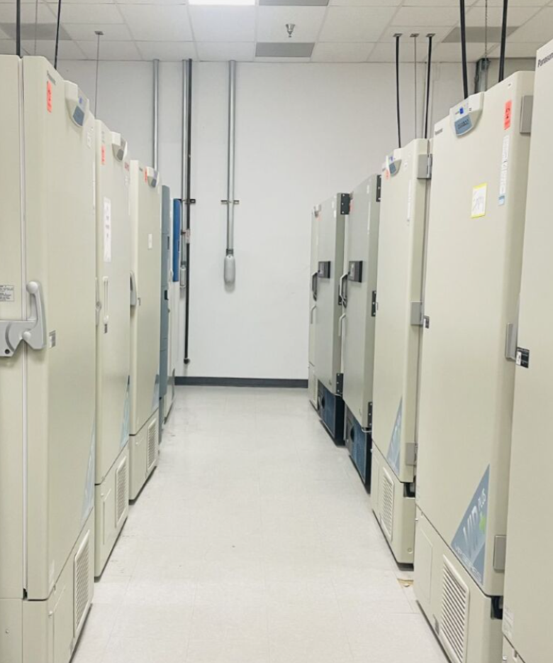 Picture of freezers at Astoriom